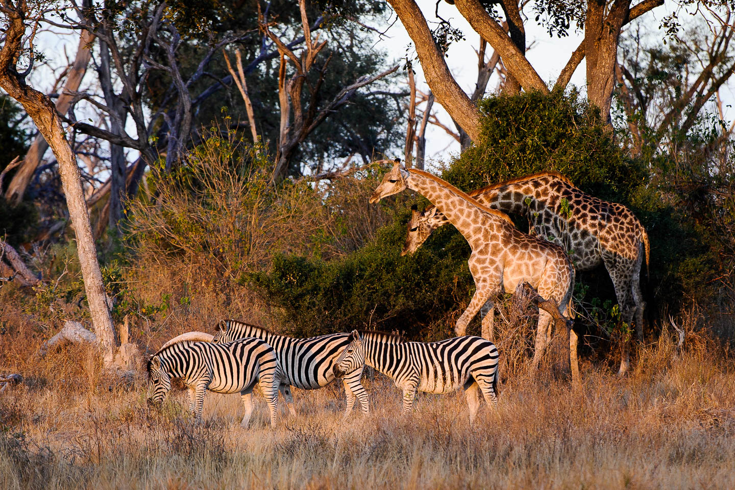 About Timbuktu  Timbuktu Travel