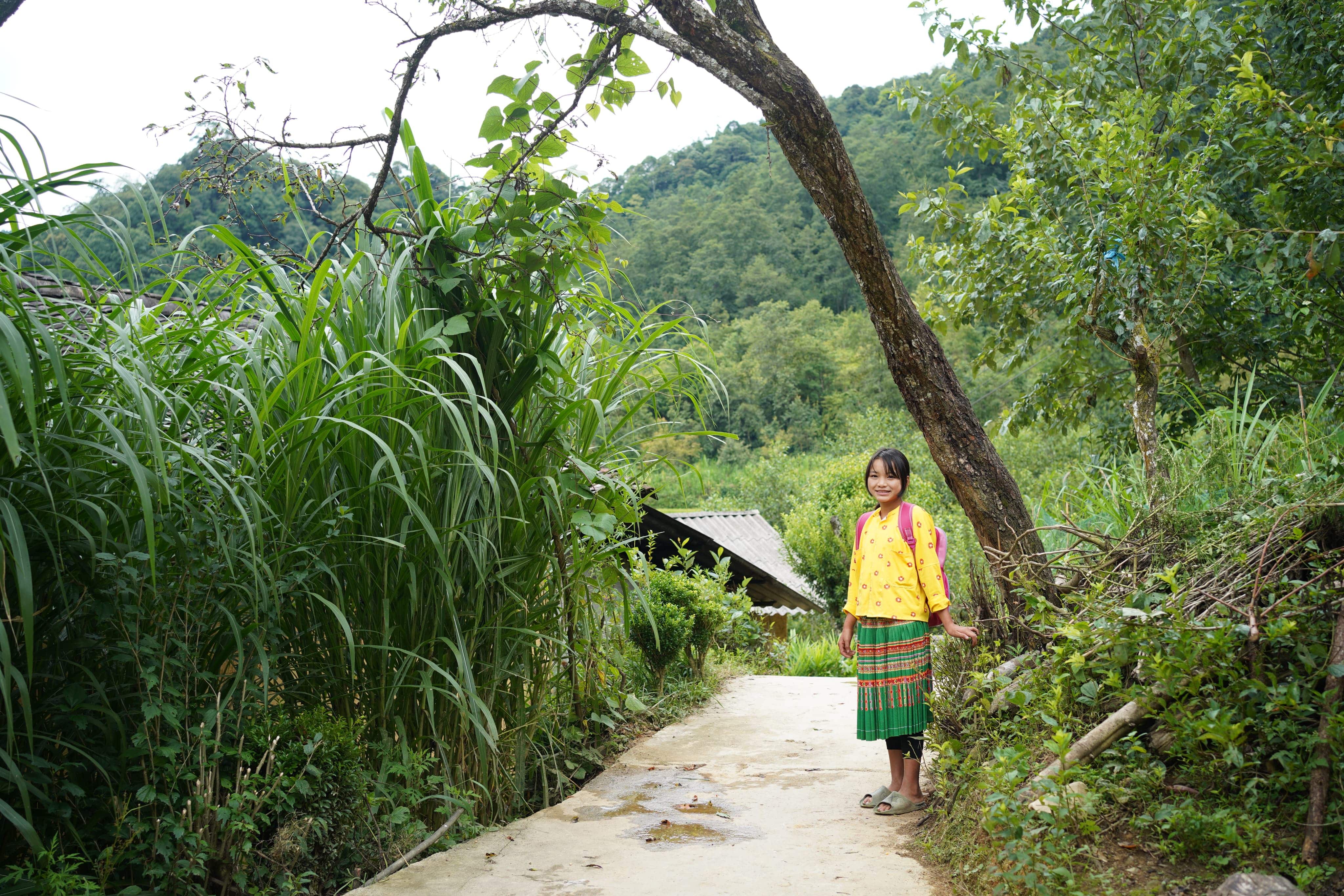 Blue Dragon Children's Foundation