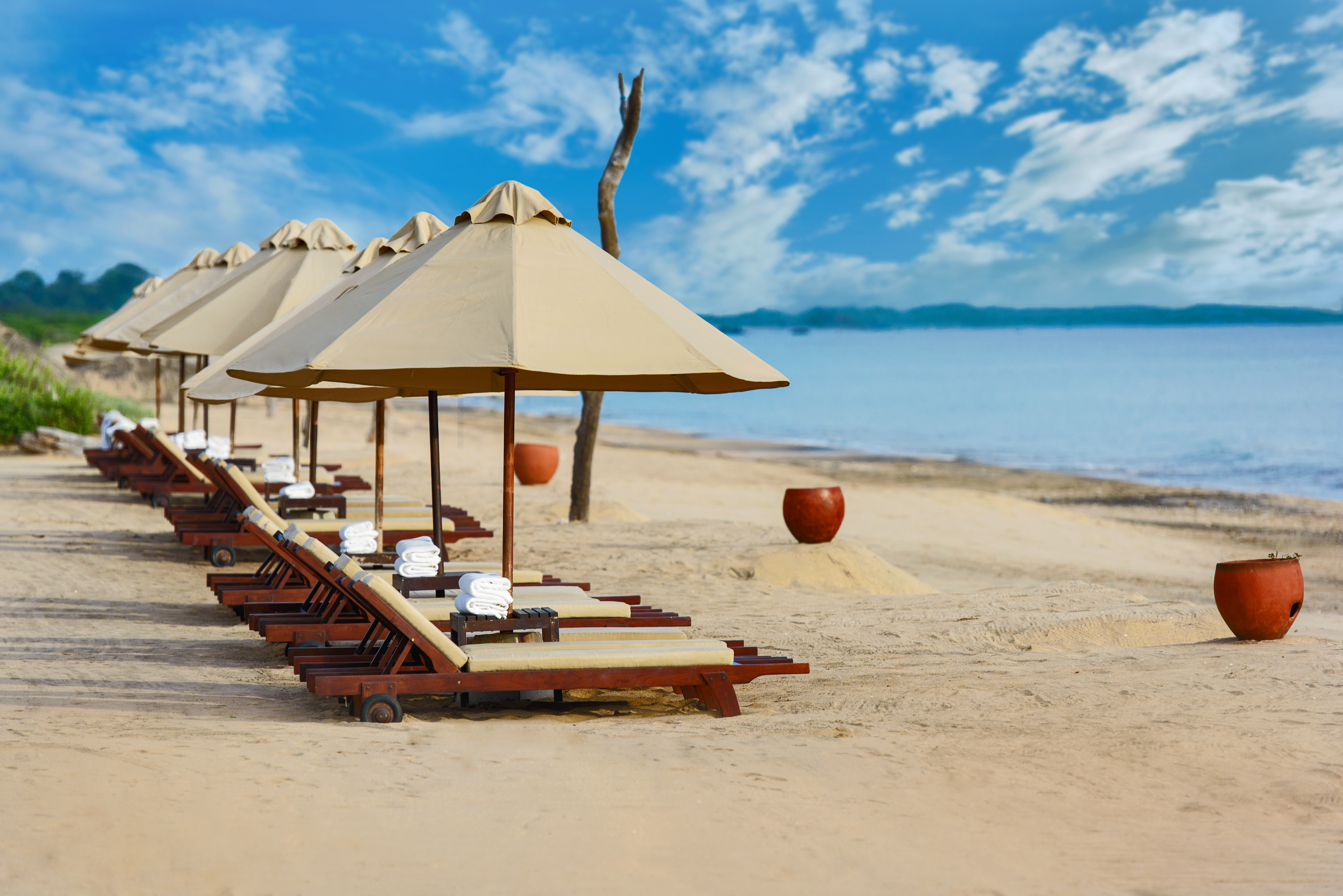 Jungle Beach Resort Image