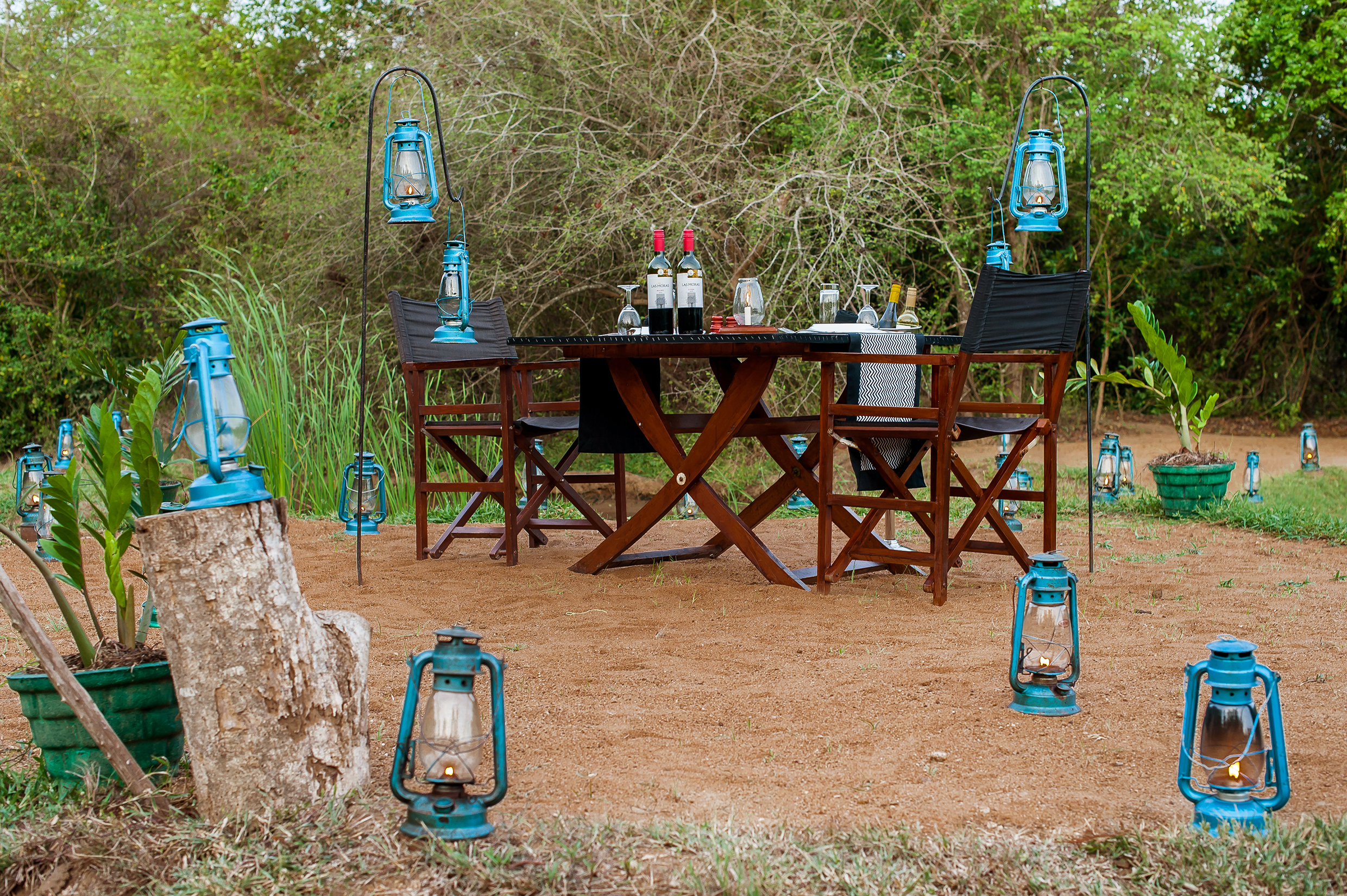 Leopard Trails Wilpattu Image