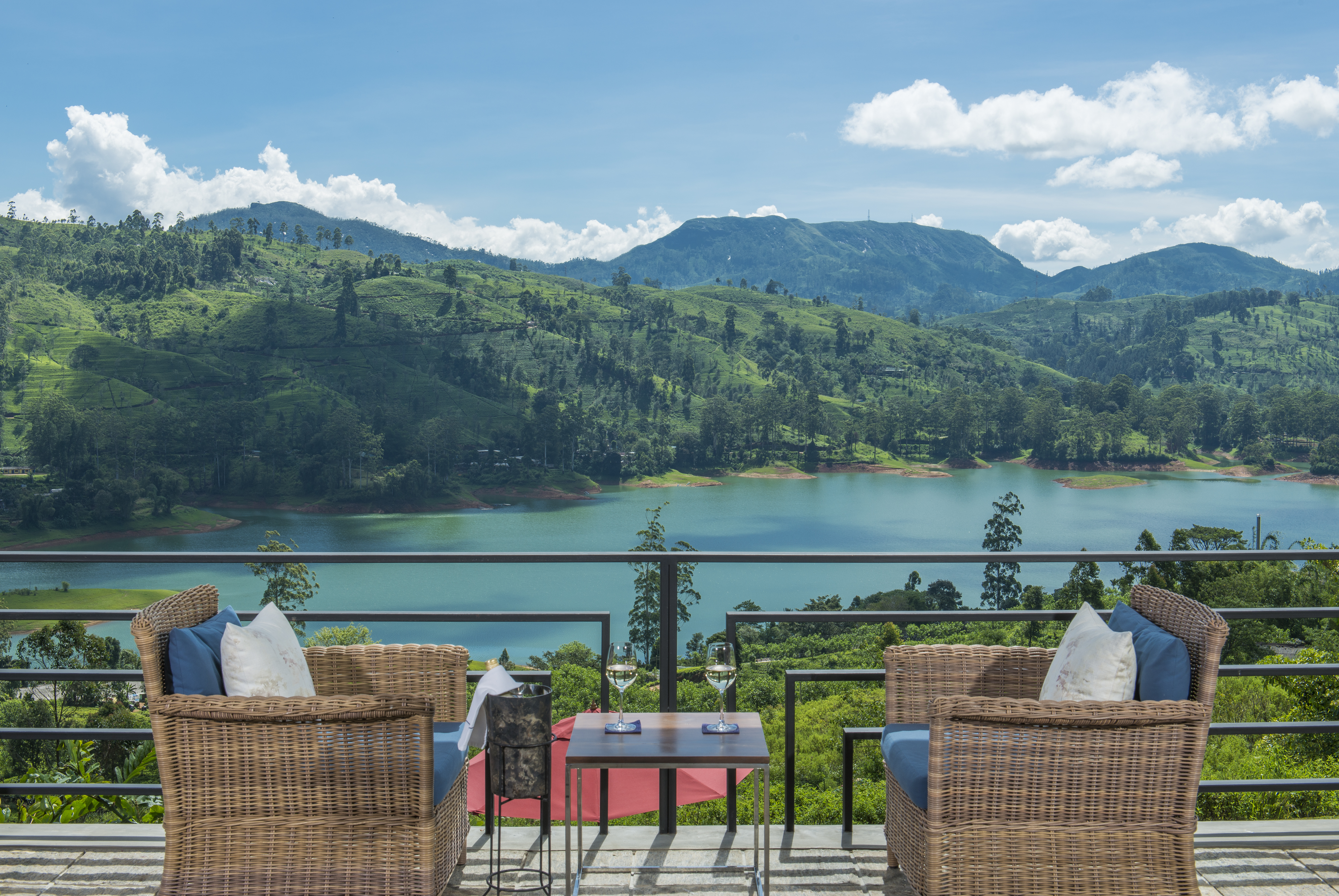 Camellia Hills Image