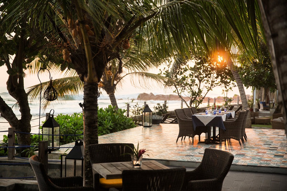 Owl and The Pussycat Image