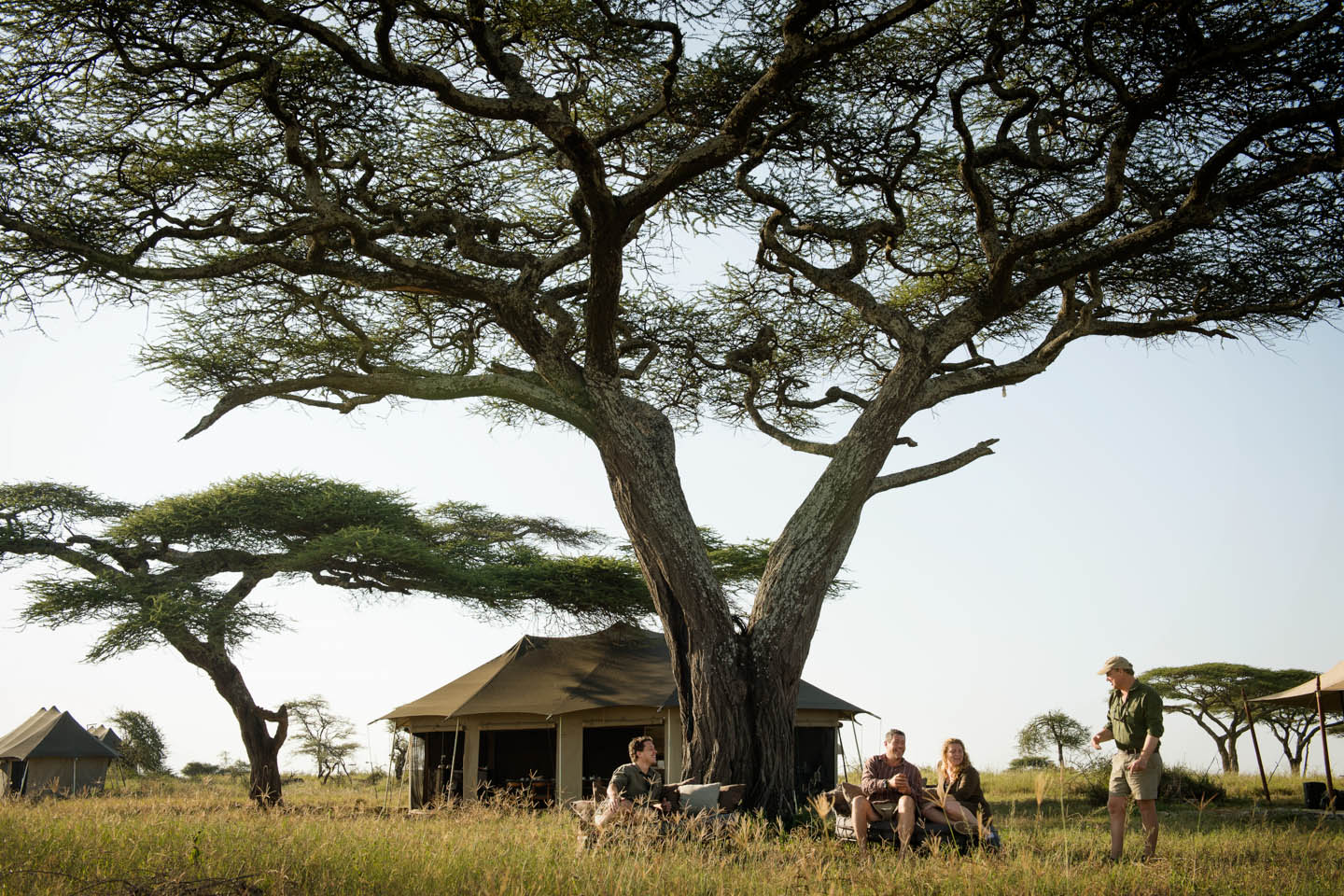 Namiri Plains Camp Image