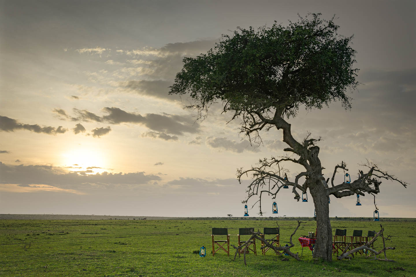 Encounter Mara Image