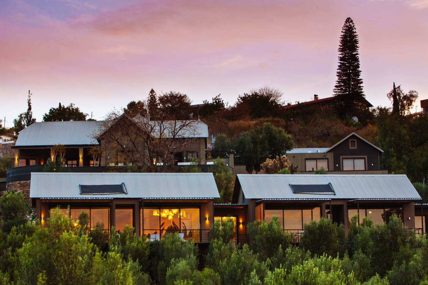 Olive Exclusive Image