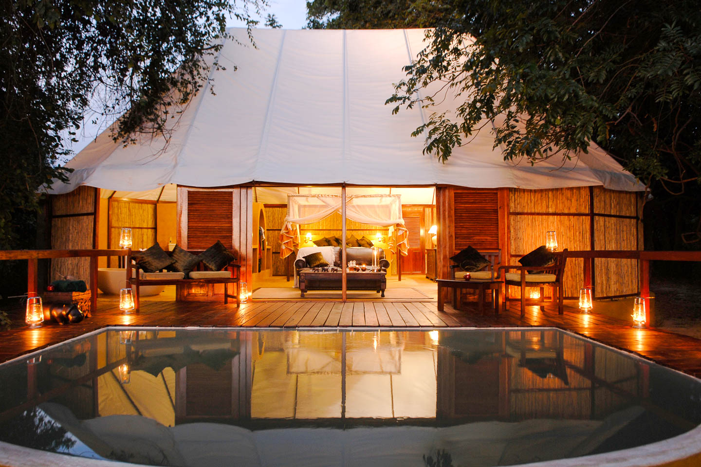 Sausage Tree Camp Image