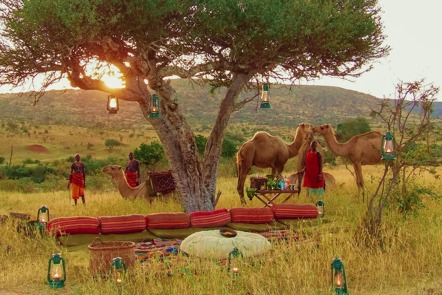 Lemarti’s Camp Image