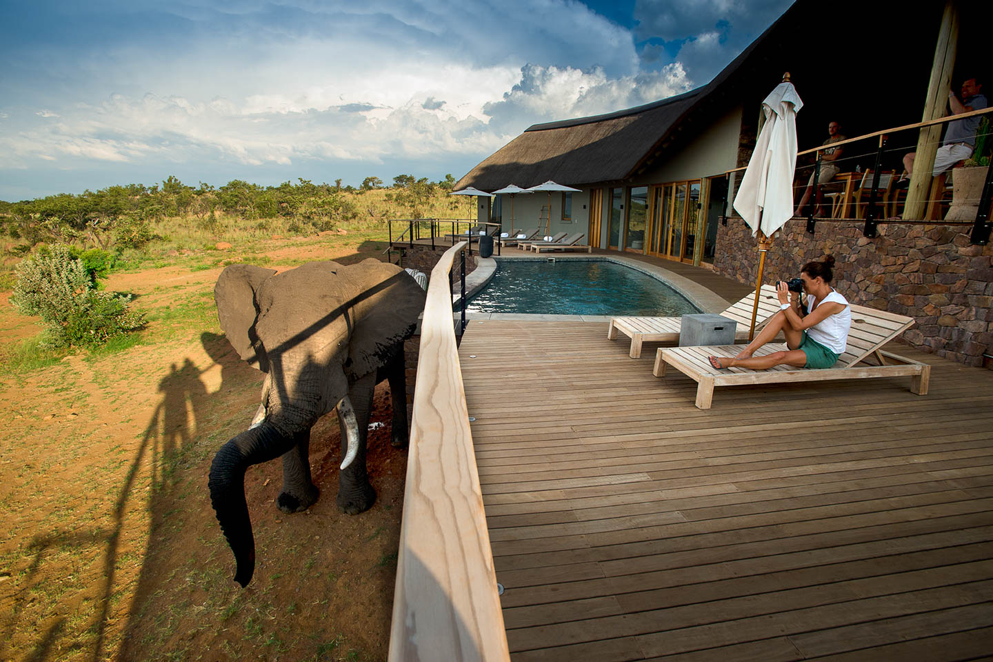 Mhondoro Safari Lodge & Villa Image