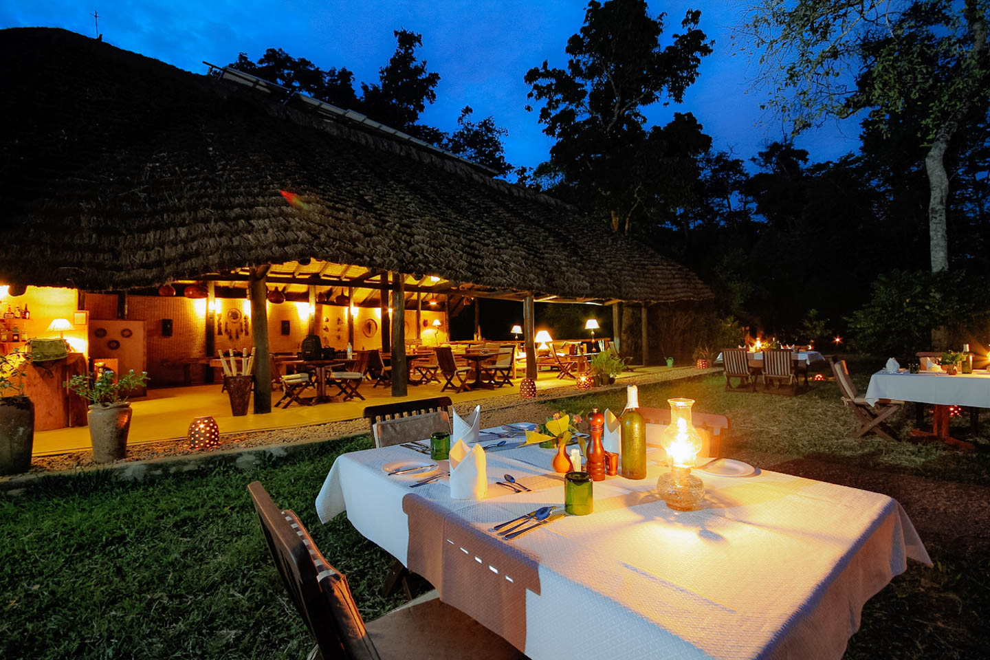 Ishasha Wilderness Camp Image