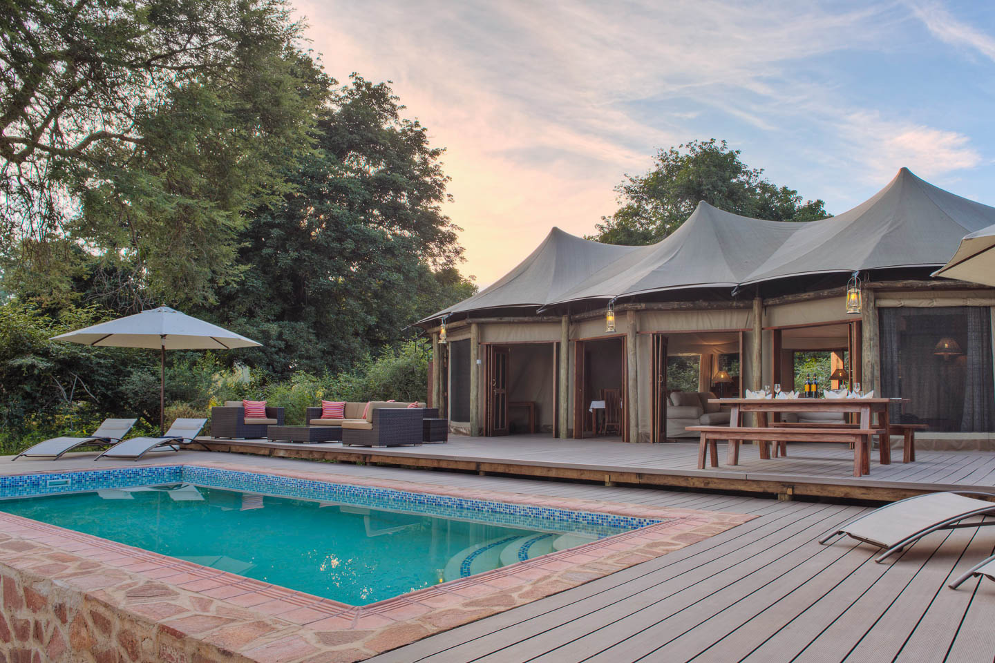 Flatdogs Crocodile Nest Image