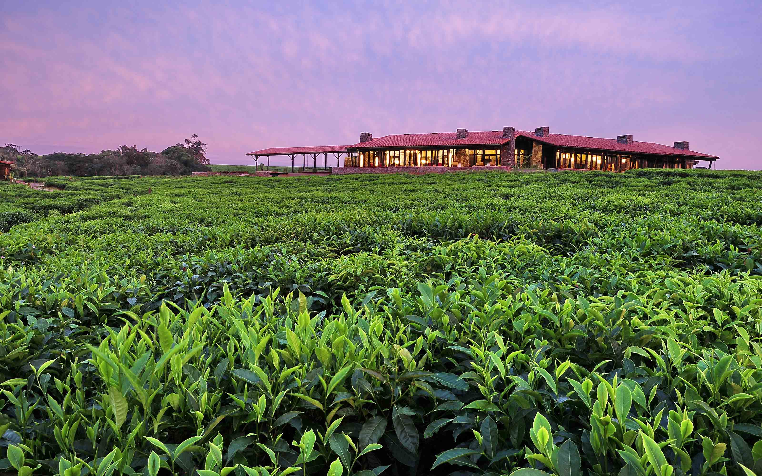 One&Only Nyungwe House Image