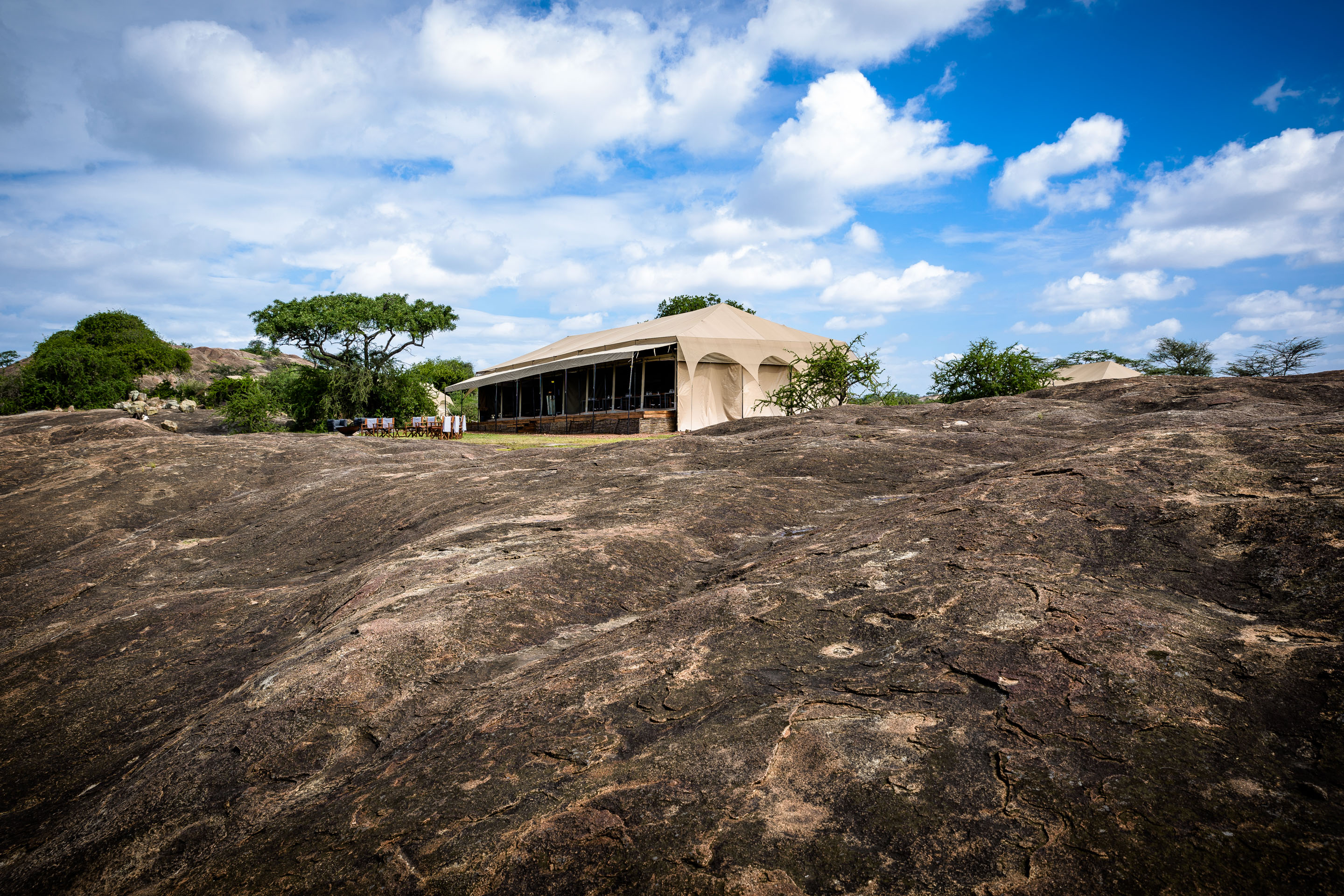 Kichakani Serengeti Camp Image