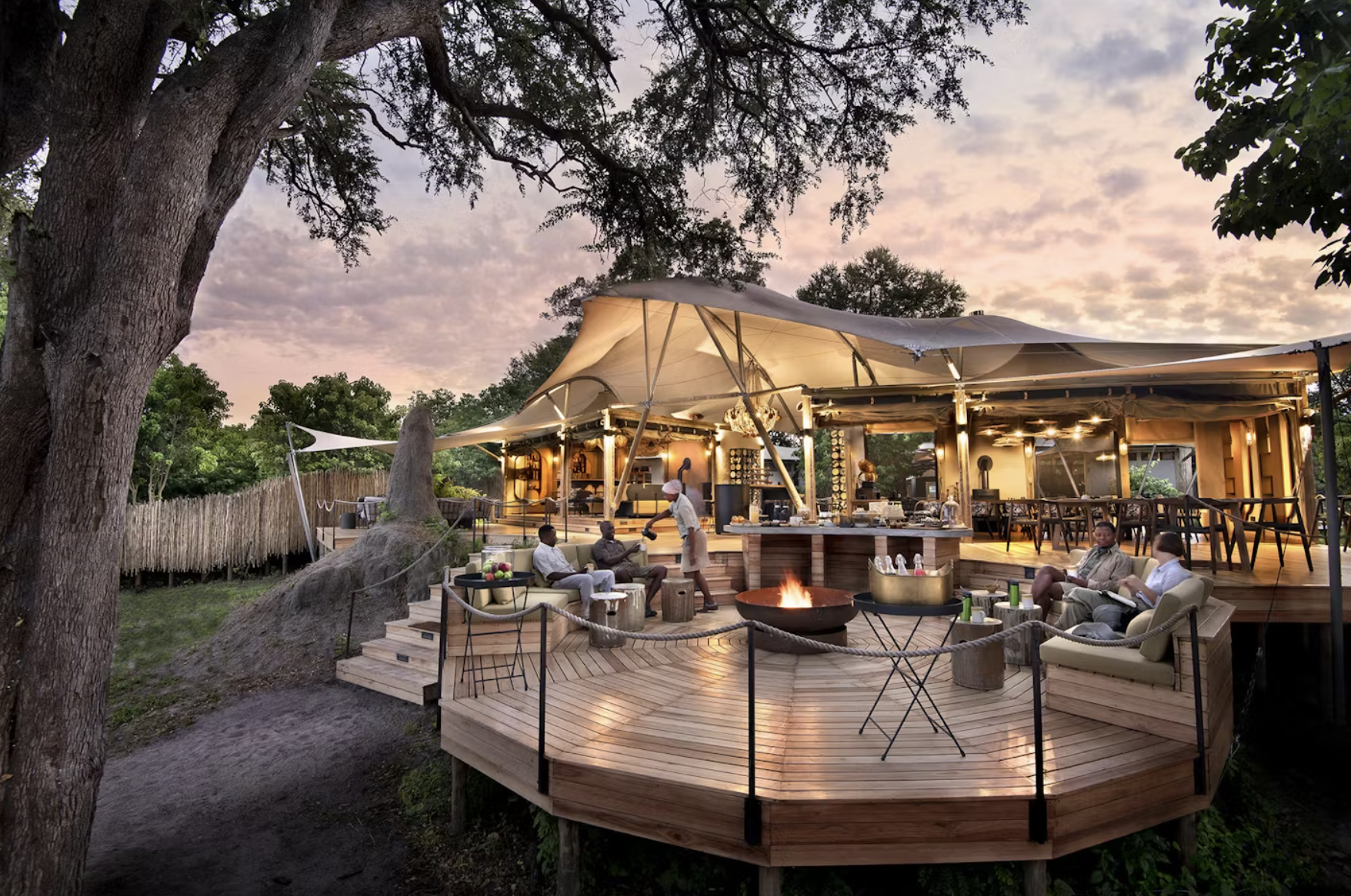 Khwai Leadwood Image