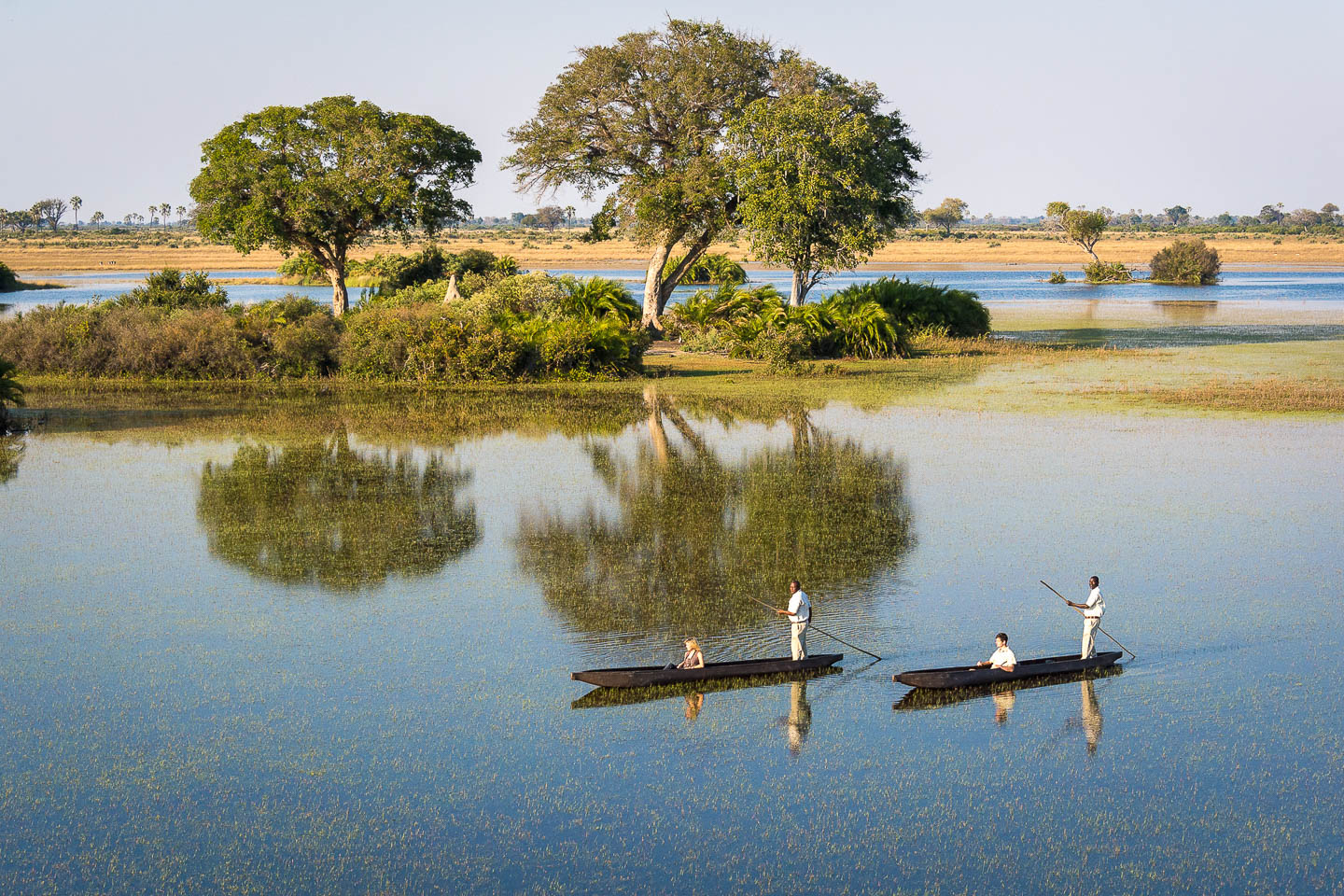 Okavango Delta Image