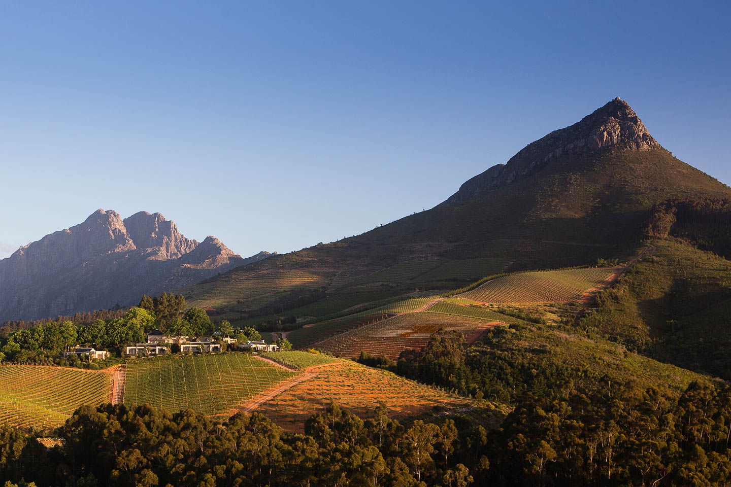 Cape Winelands Image