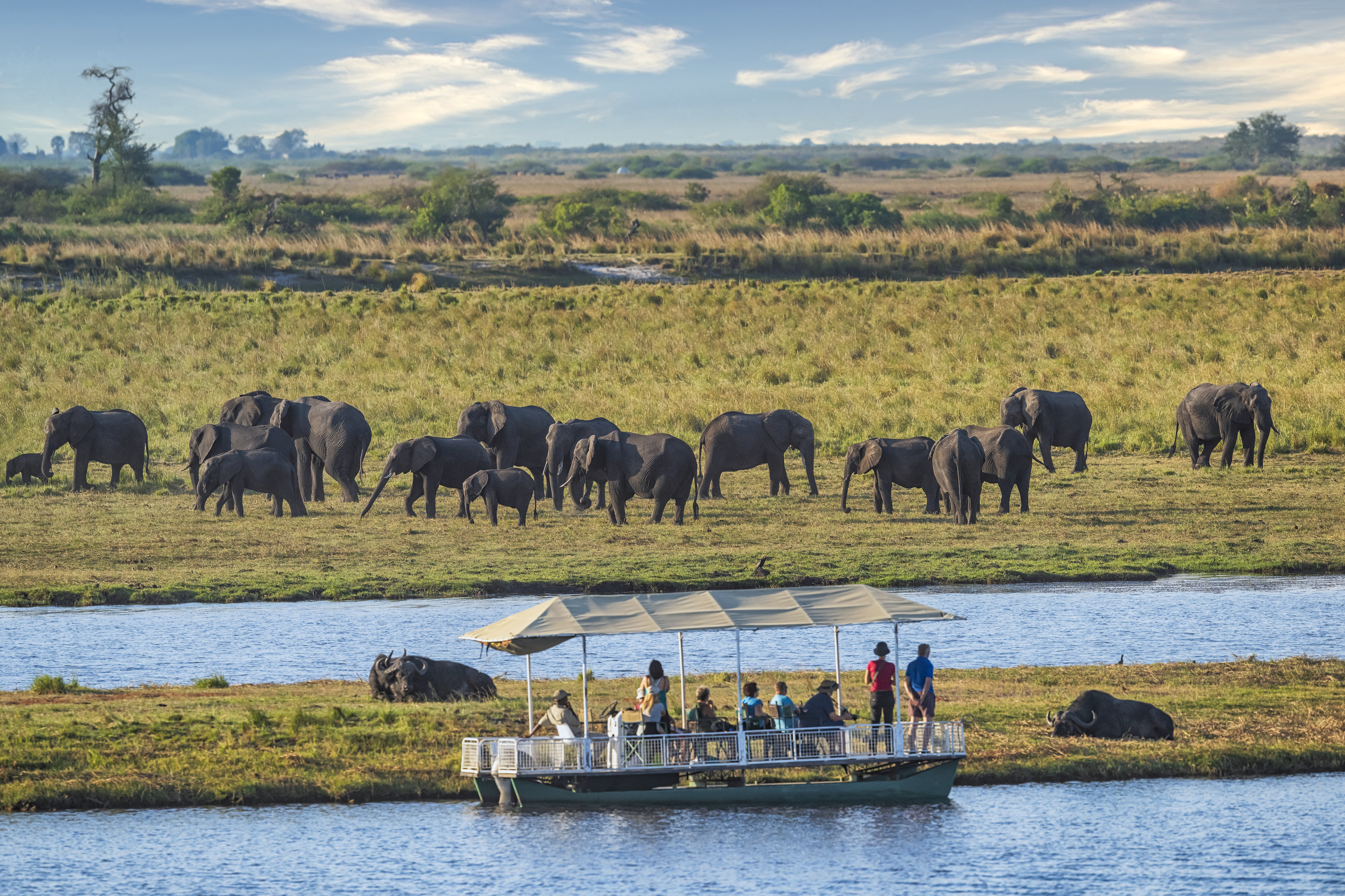 Chobe Image
