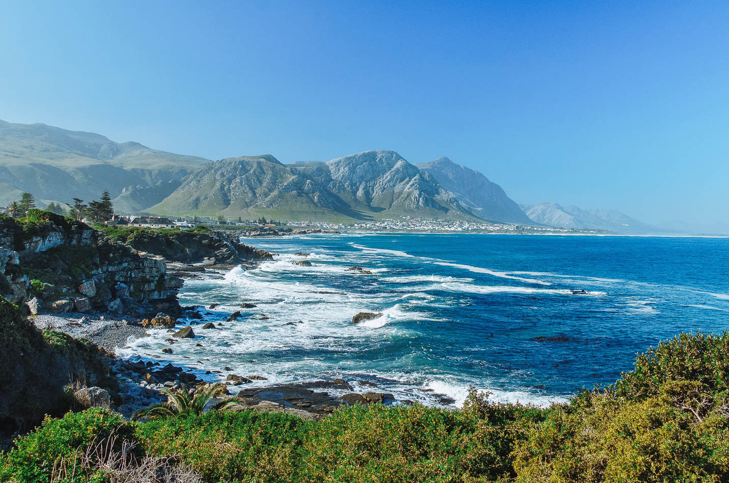 Hermanus Image