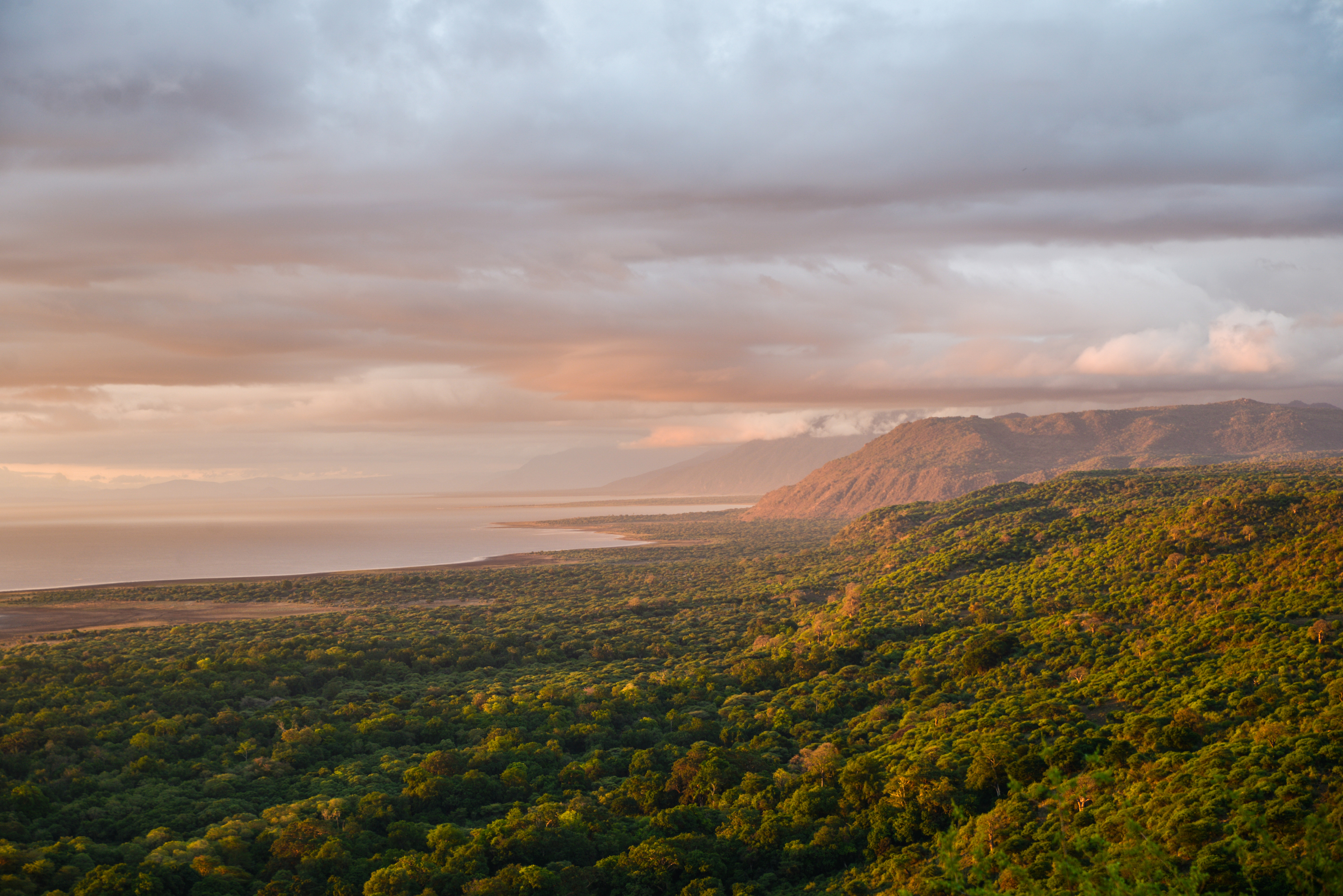 Lake Manyara Image