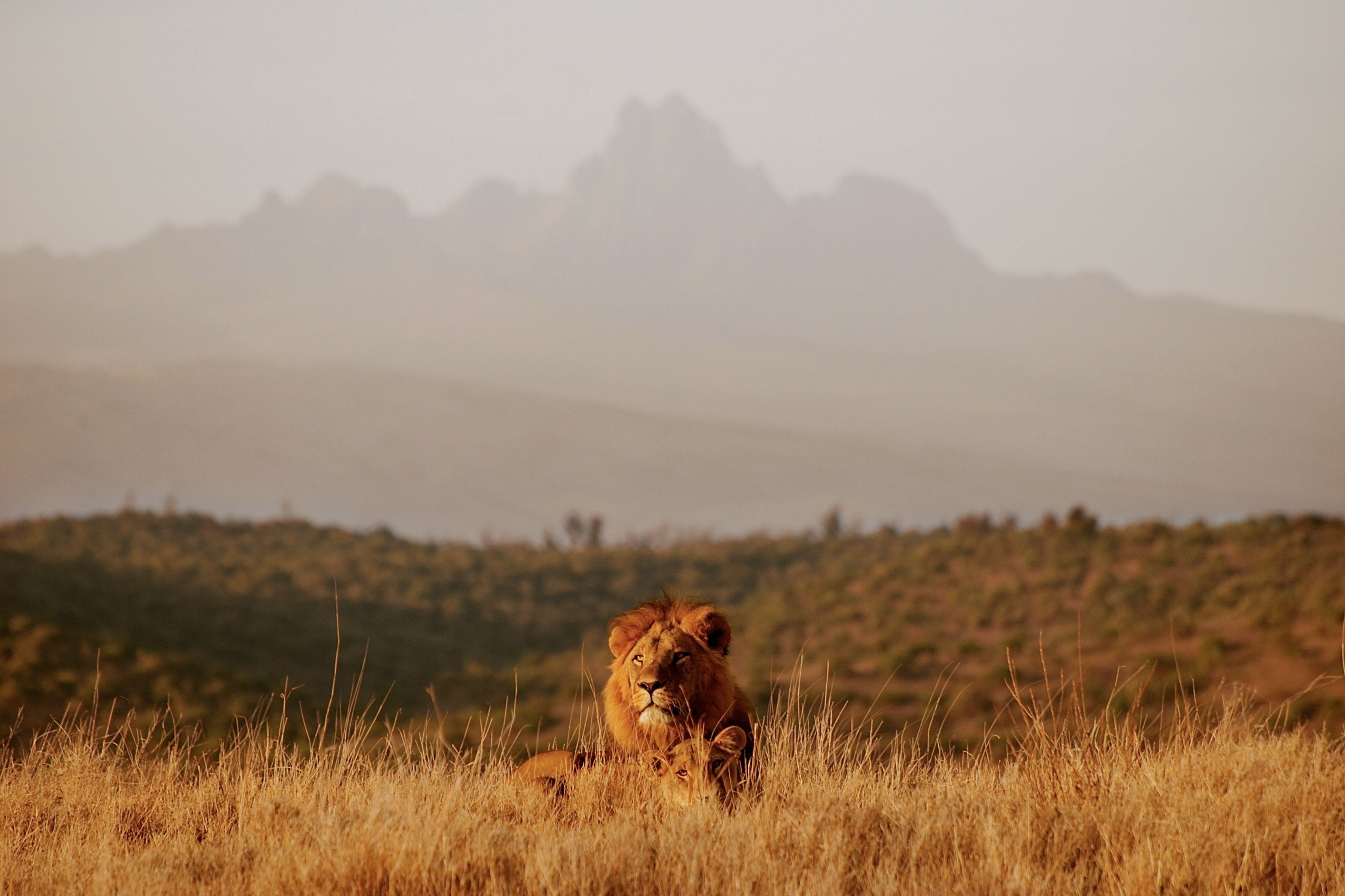 Laikipia Image