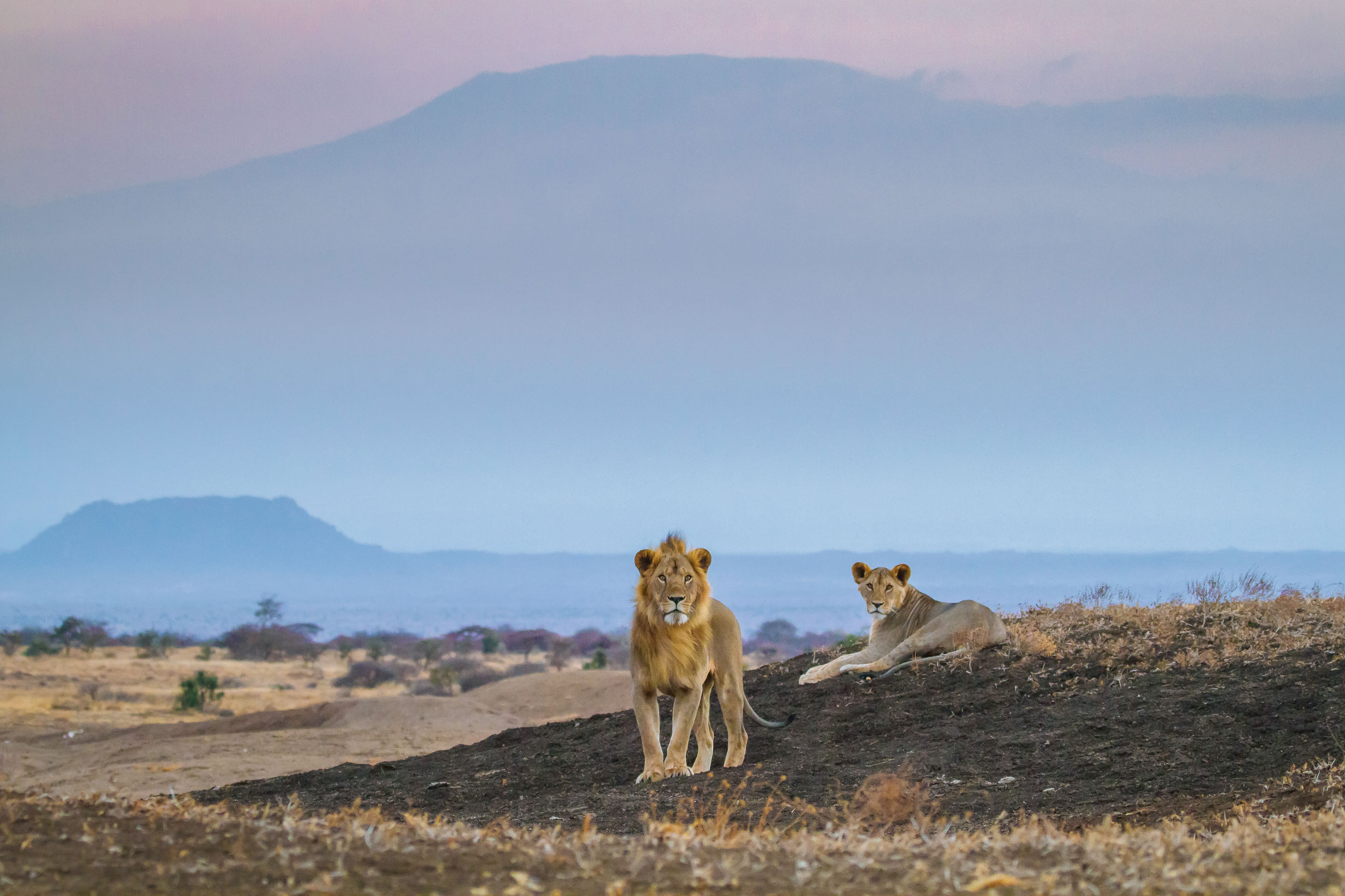 Amboseli & Chyulu Hills Image