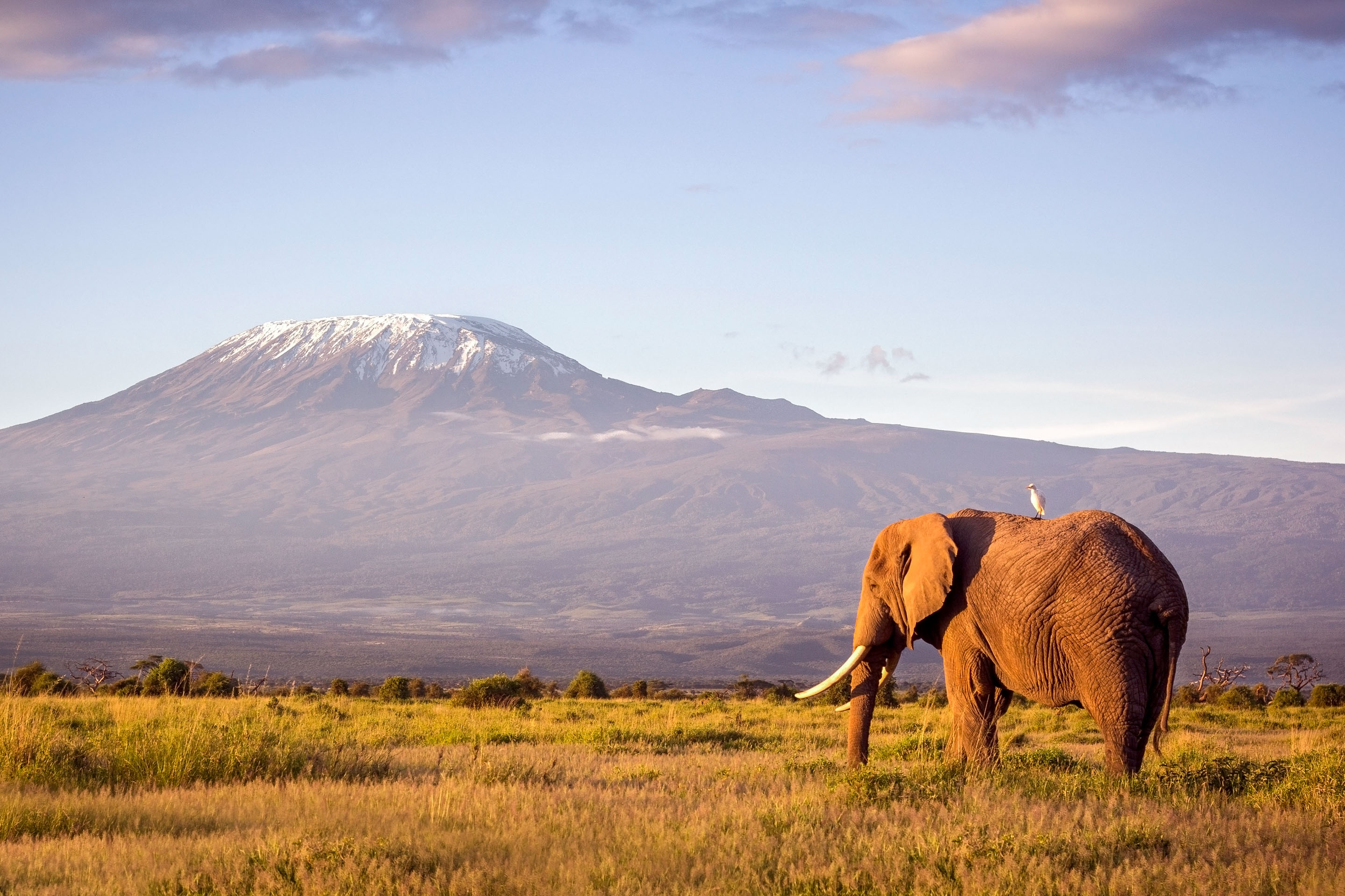 Amboseli & Chyulu Hills Image