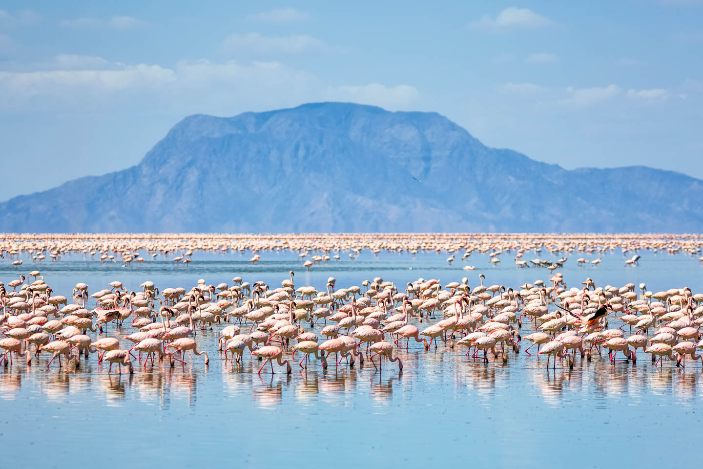 Lake Natron Image