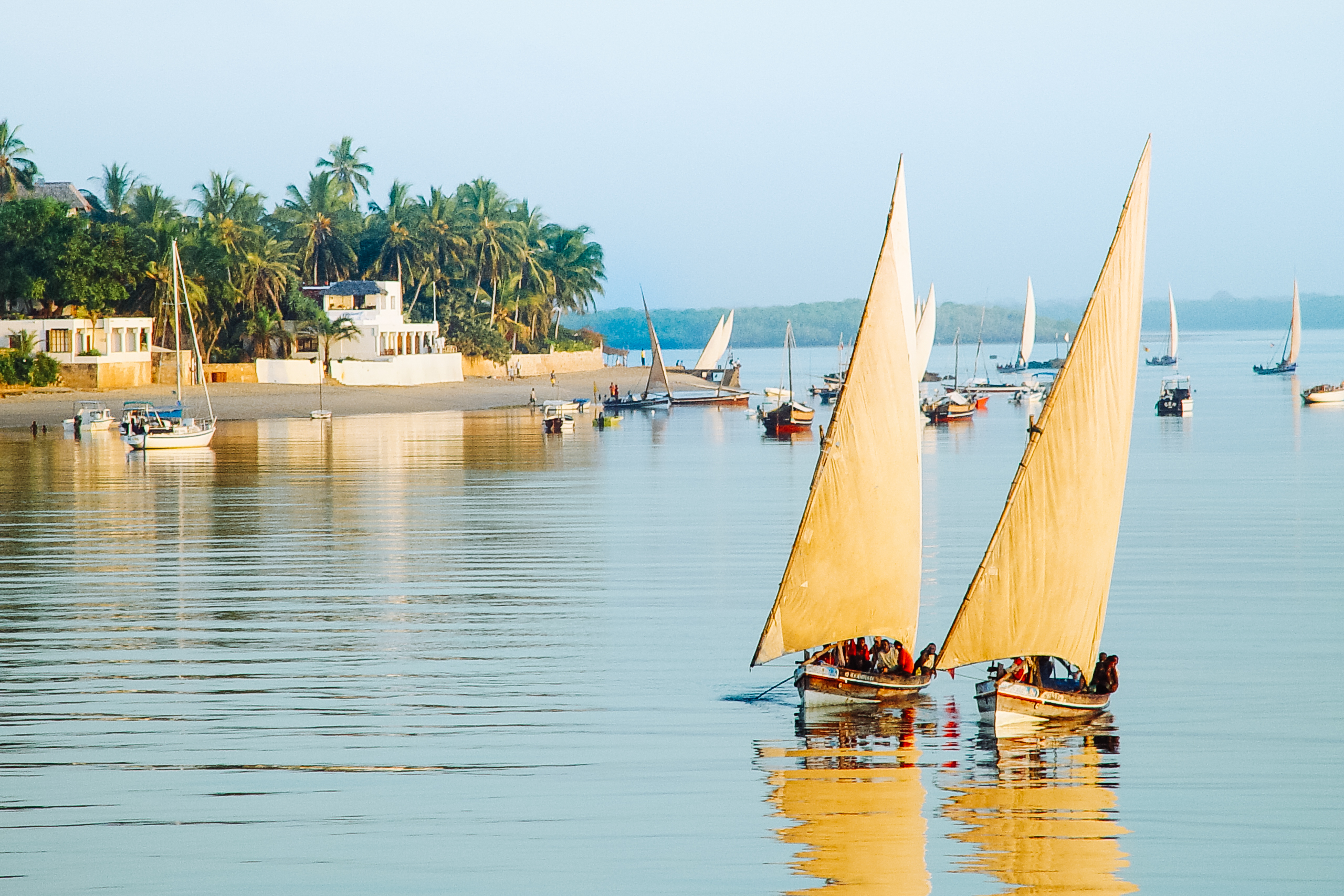 Lamu Image