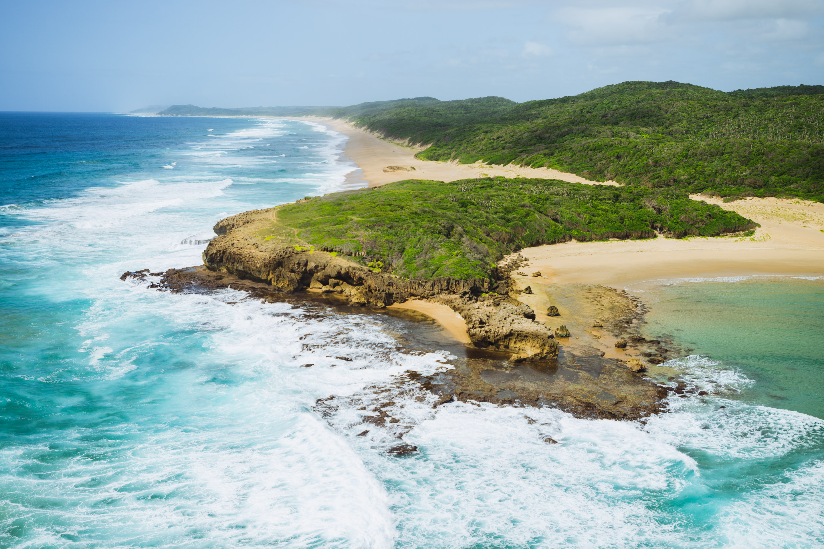 Elephant Coast Image