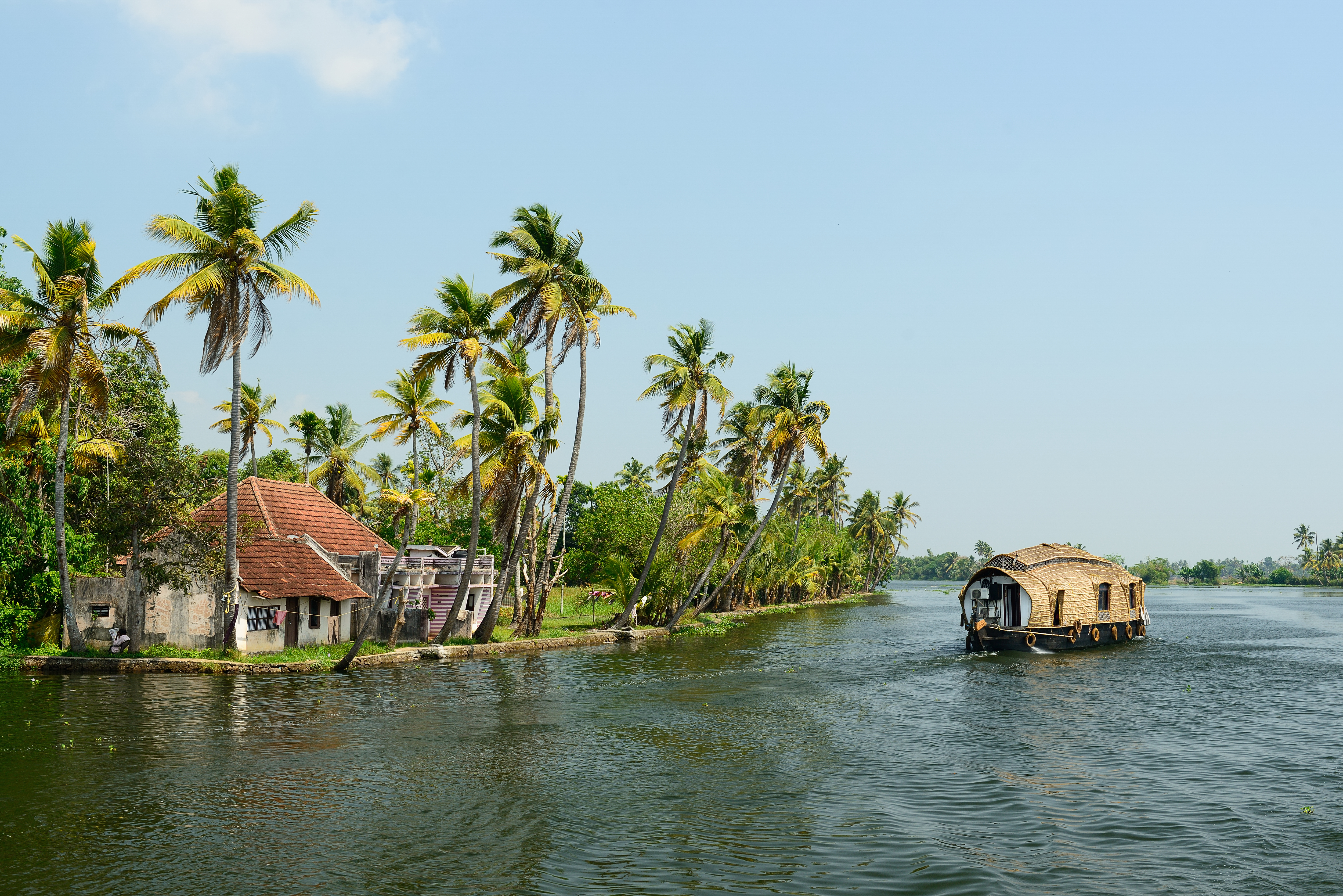 Kerala backwaters Image