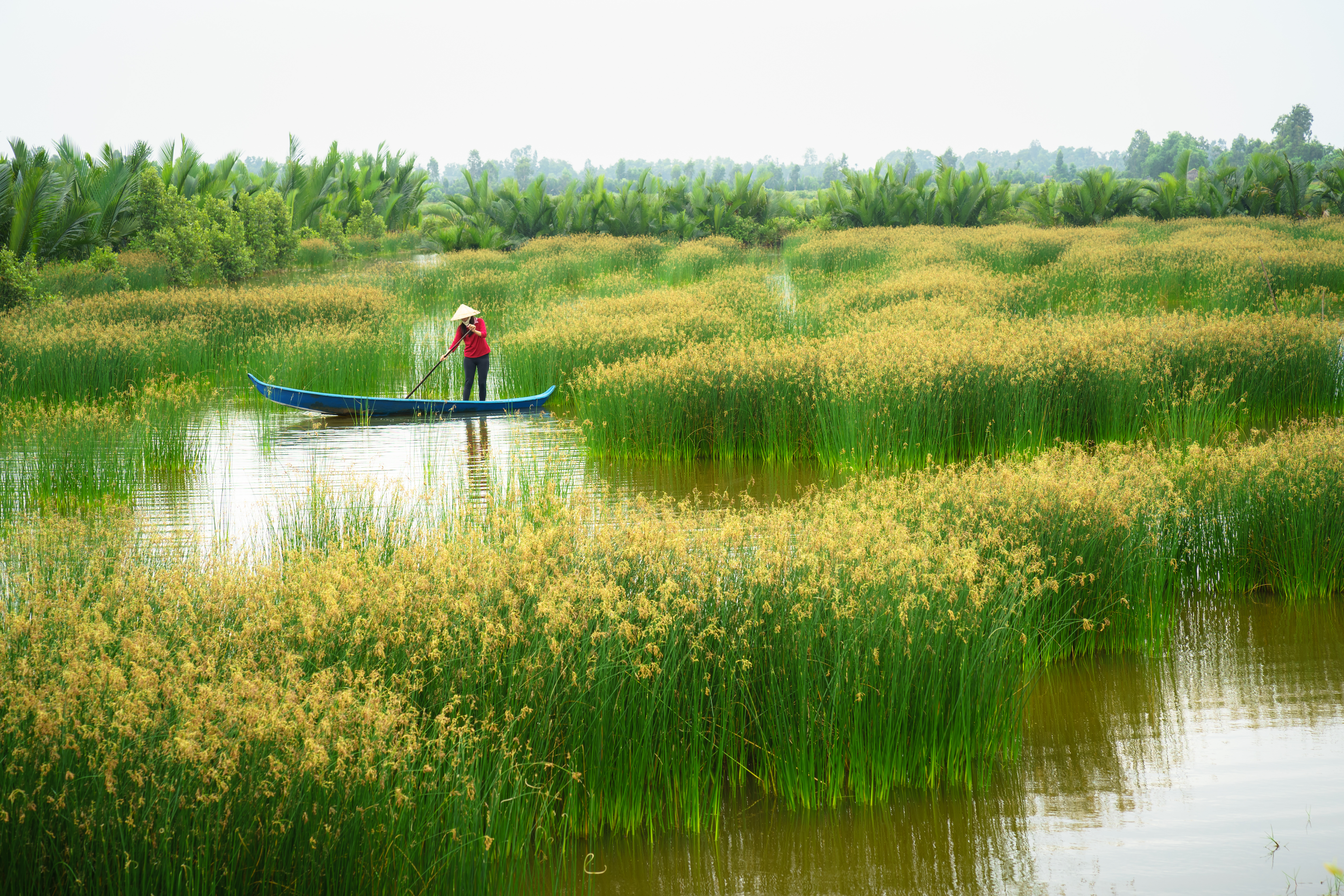 Mekong Delta Image