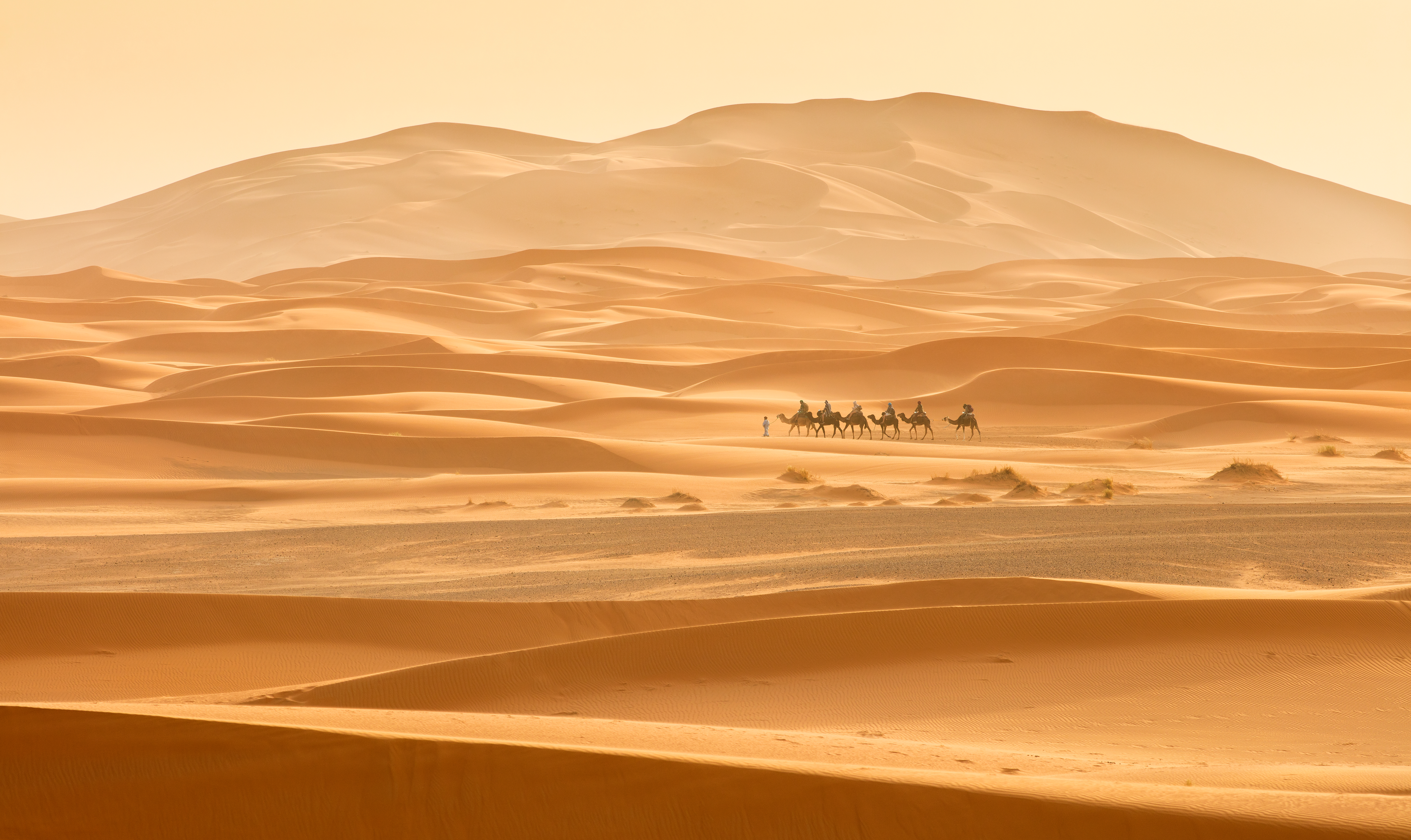 Moroccan Desert Image