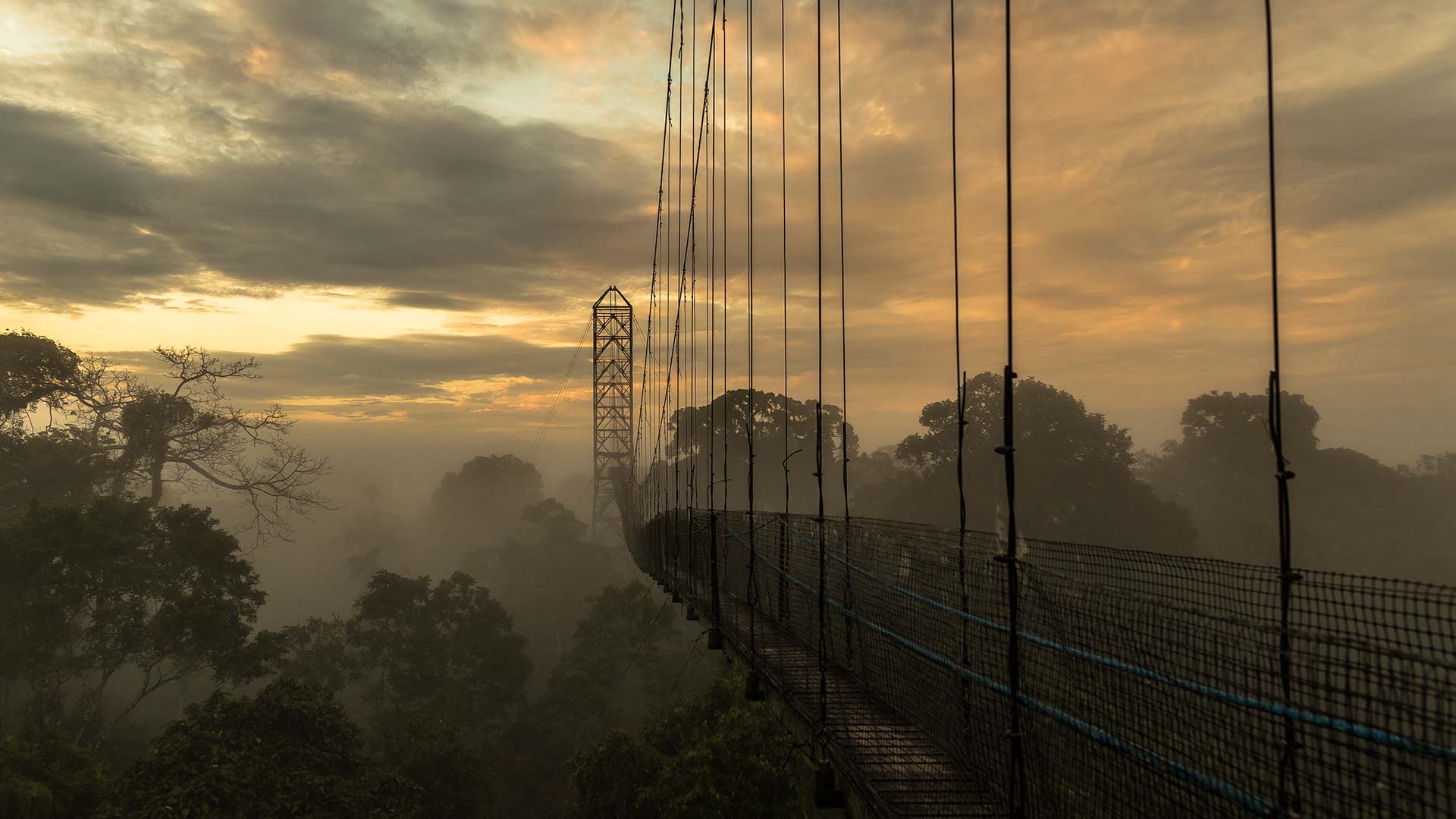 The Ecuadorian Amazon Image