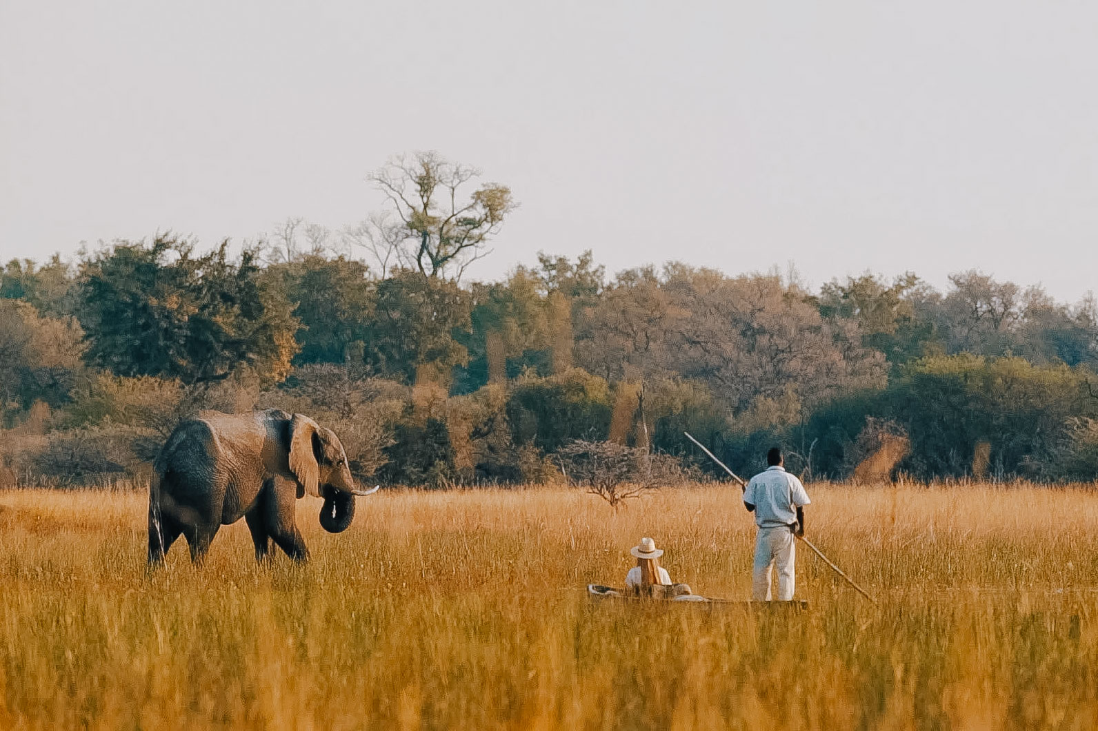 Central Okavango Image