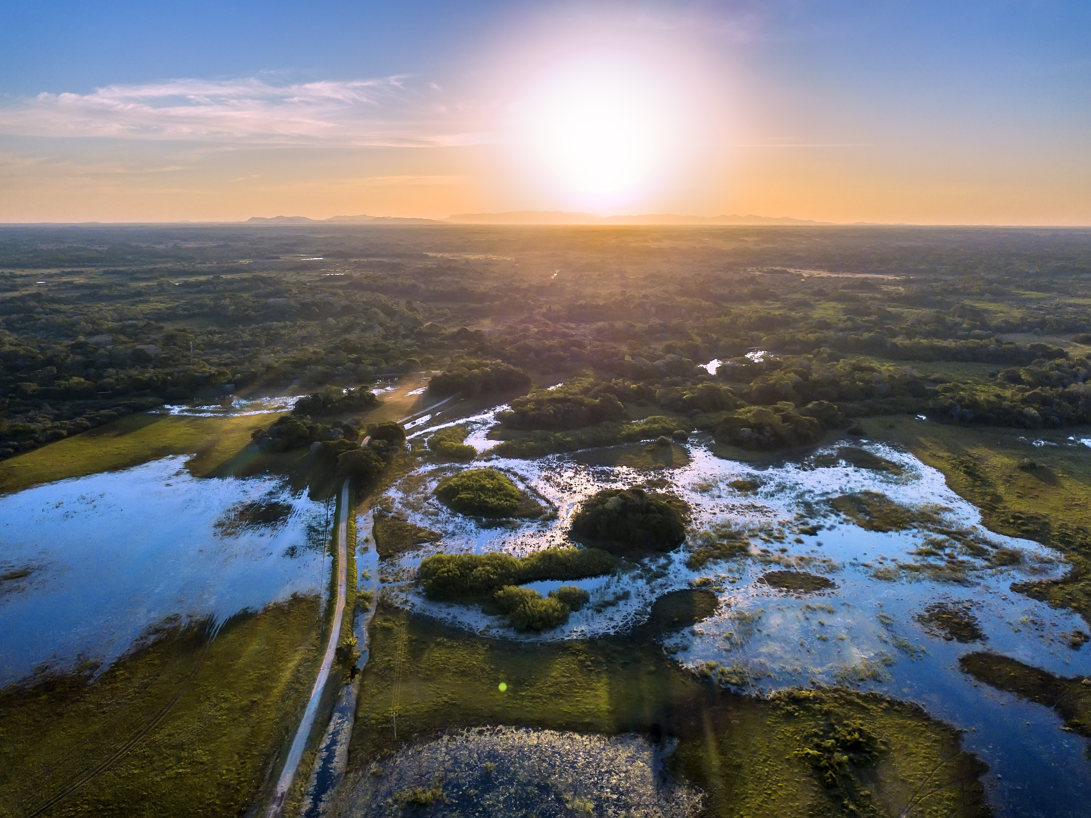 Greater Pantanal Image