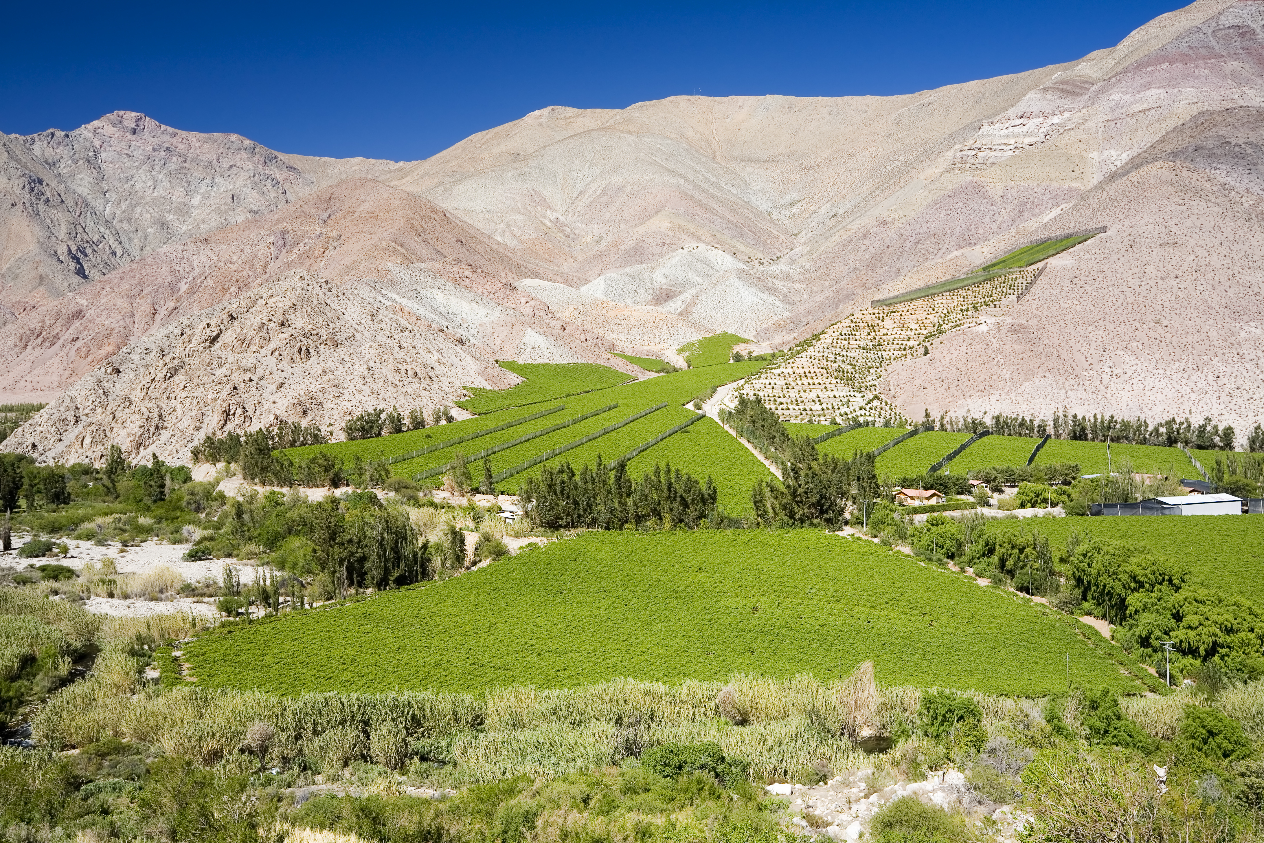 The Elqui Valley Image