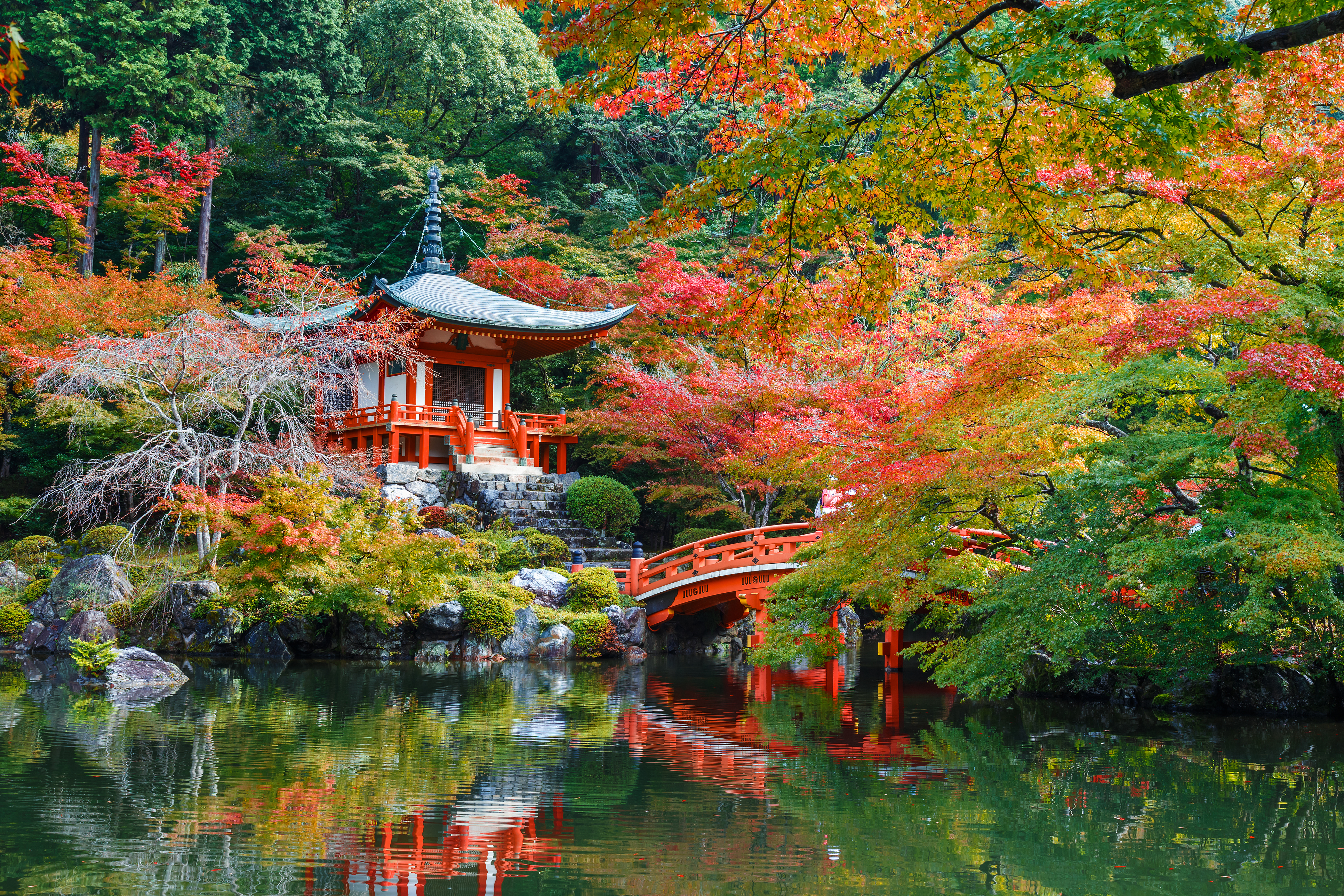 Kyoto Image
