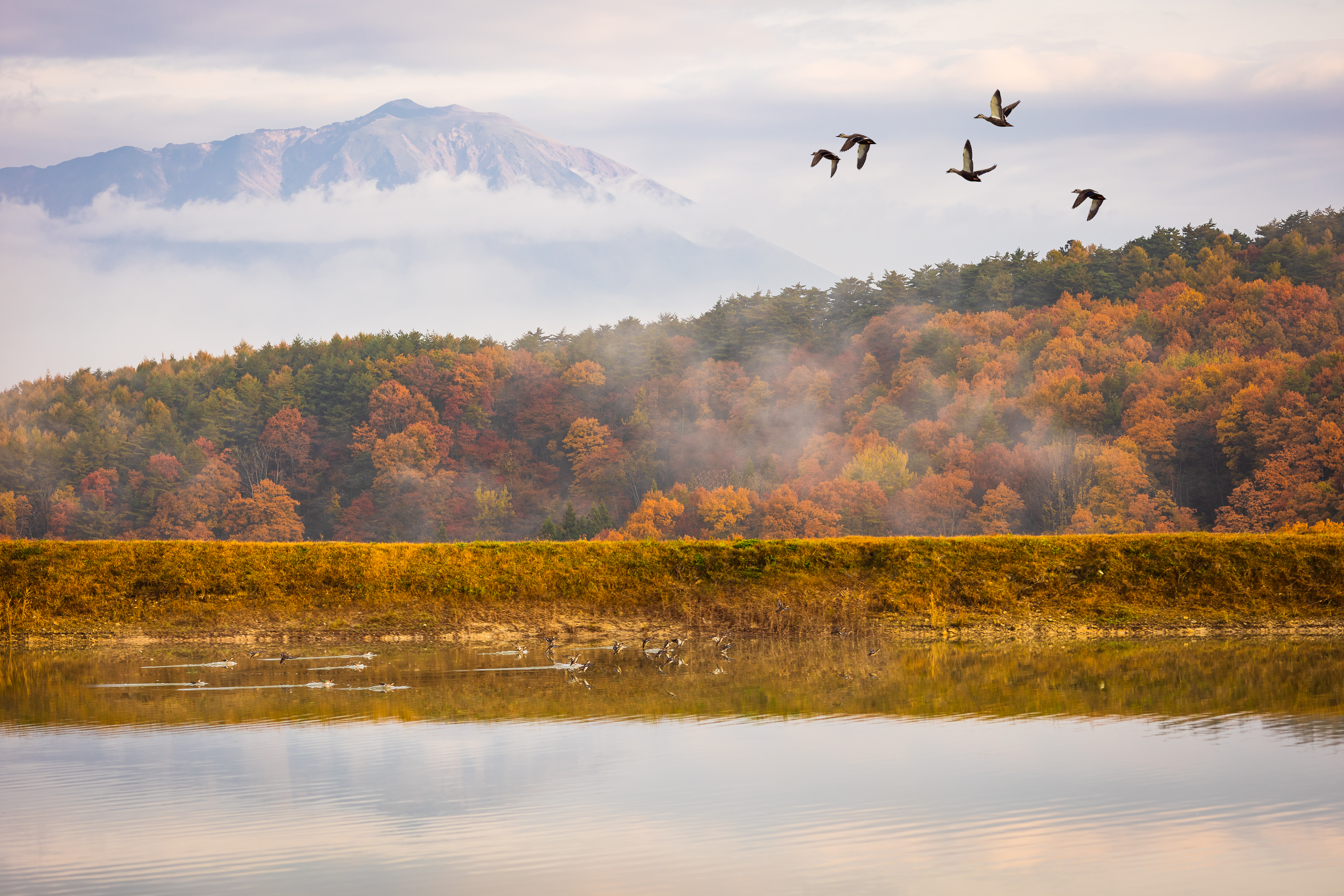 Shiretoko Peninsula Image
