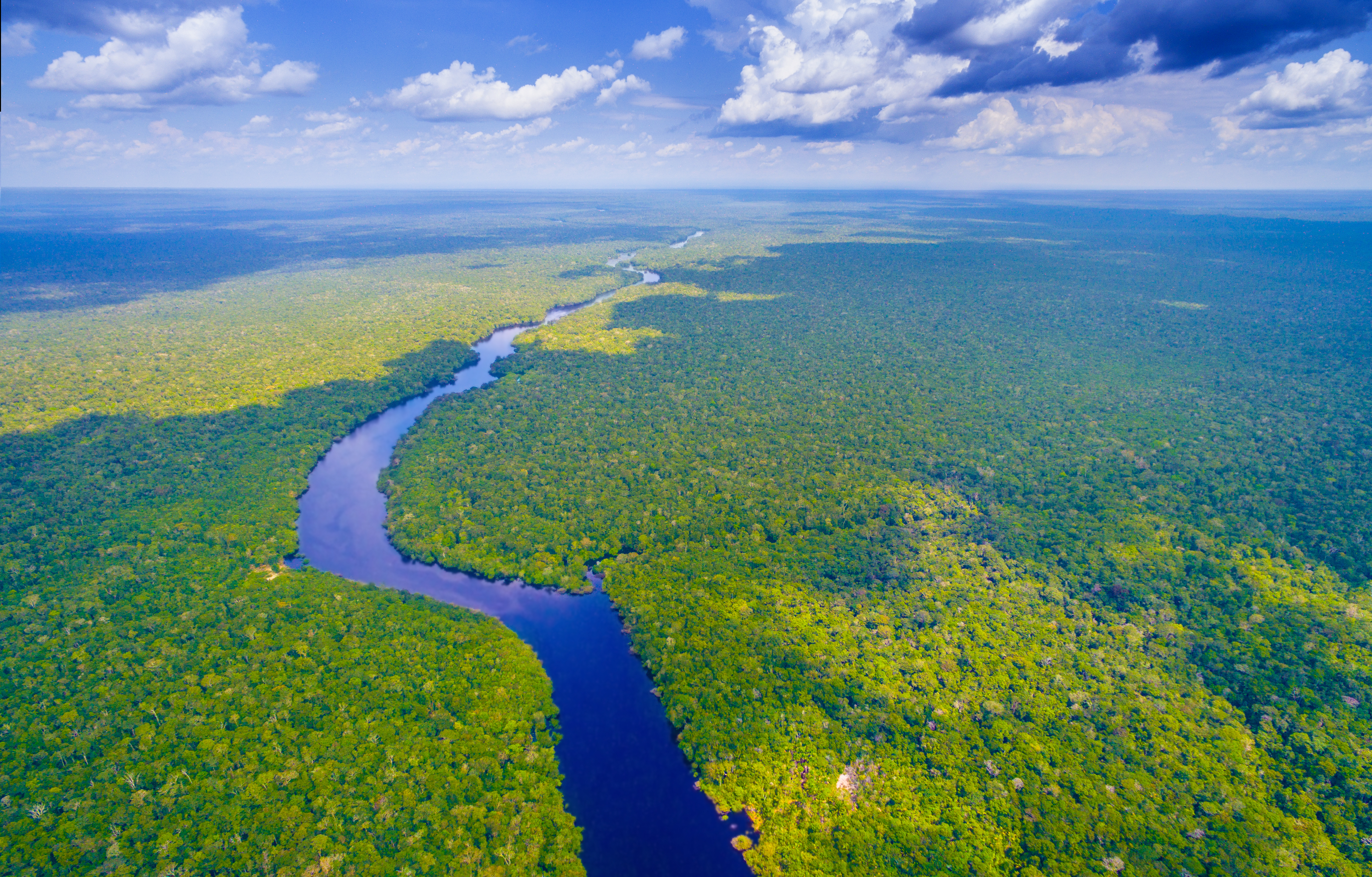 Brazilian Amazon Image