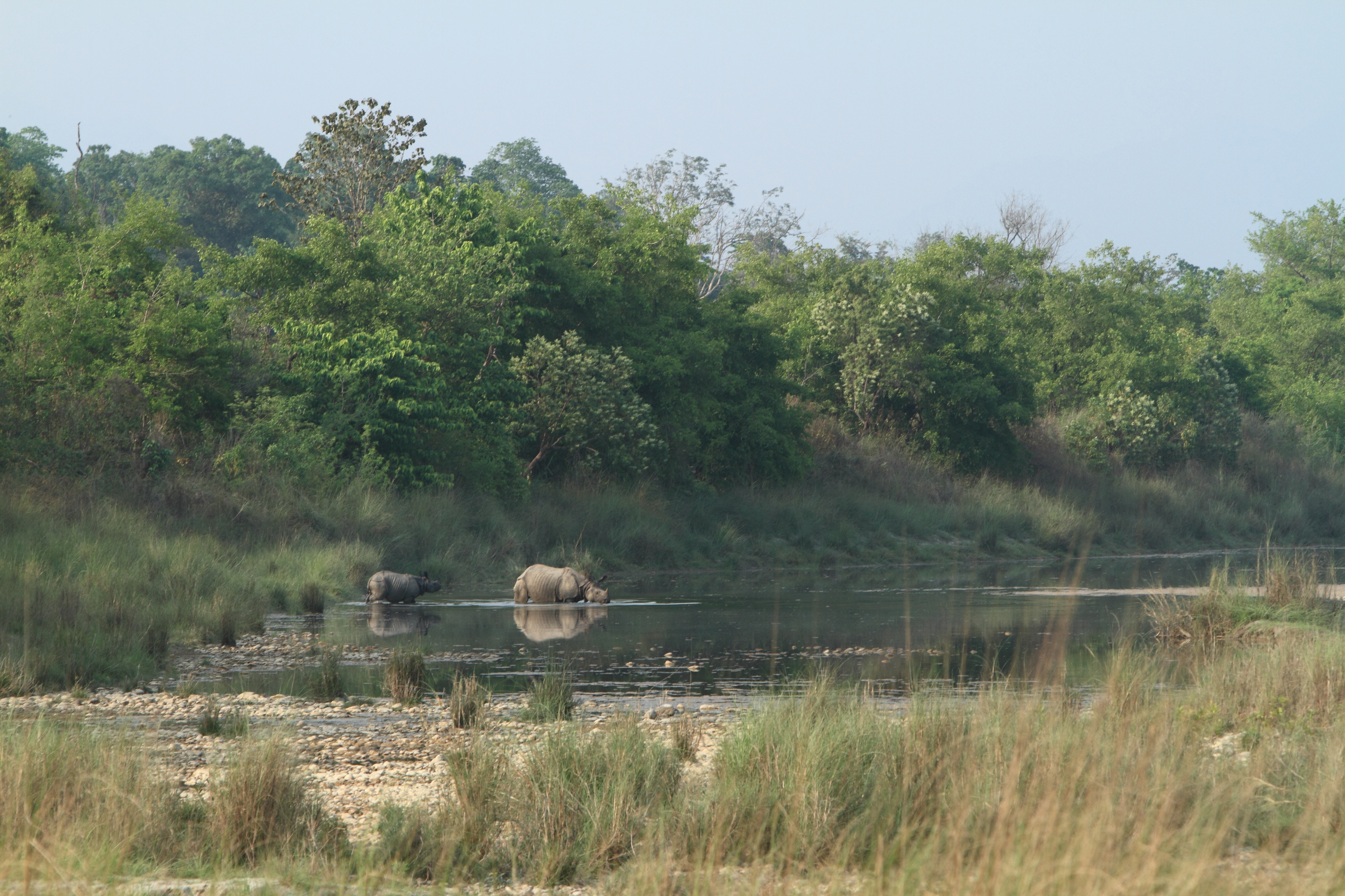 Bardia National Park Image